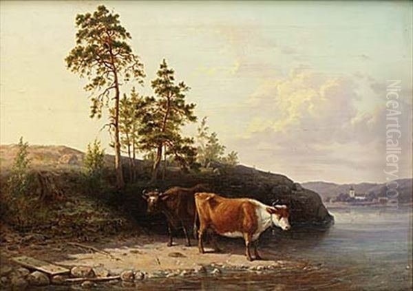 Boskap Vid Vatten Oil Painting by Nils Anderson