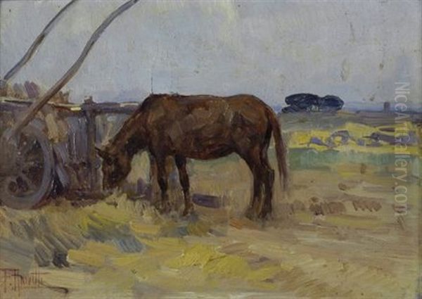 Cavallo Al Pascolo Oil Painting by Filippo Anivitti