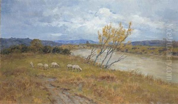 Paesaggio Lungo Il Tevere Oil Painting by Filippo Anivitti