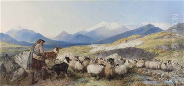 Sheep Gathering In Glen Spean, Scotland Oil Painting by Richard Ansdell