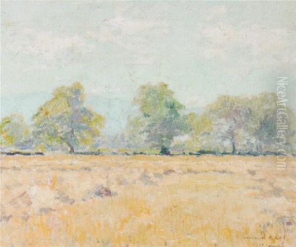 Kornfeld Im Sommer Oil Painting by Armand Adrien Marie Apol