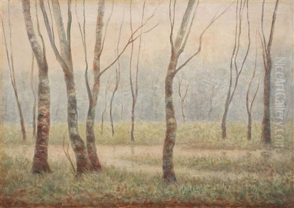 Sunrise Over The Forest Oil Painting by Constantin Aricescu