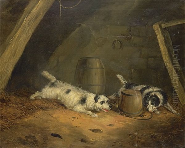 Cani Nella Stalla Oil Painting by George Armfield