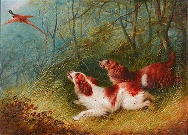 Spaniel Flushing Pheasant Oil Painting by George Armfield