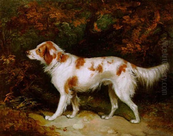 Setter In A Landscape Oil Painting by George Armfield