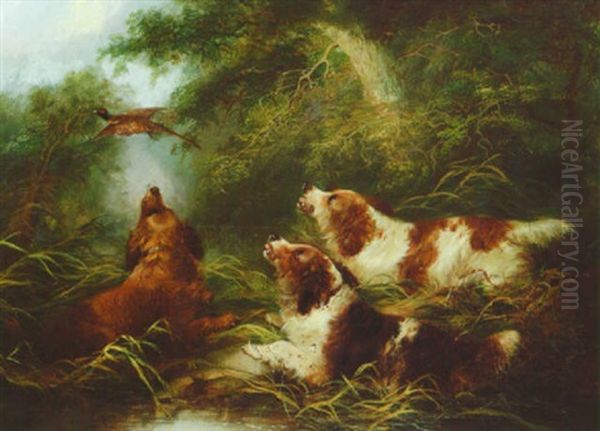 Putting Up Pheasant Oil Painting by George Armfield