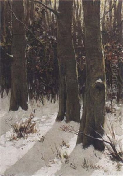 Trees In A Winter Landscape Oil Painting by David Adolph Constant Artz