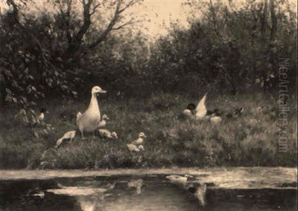 Ducks Along A Ditch Oil Painting by David Adolph Constant Artz