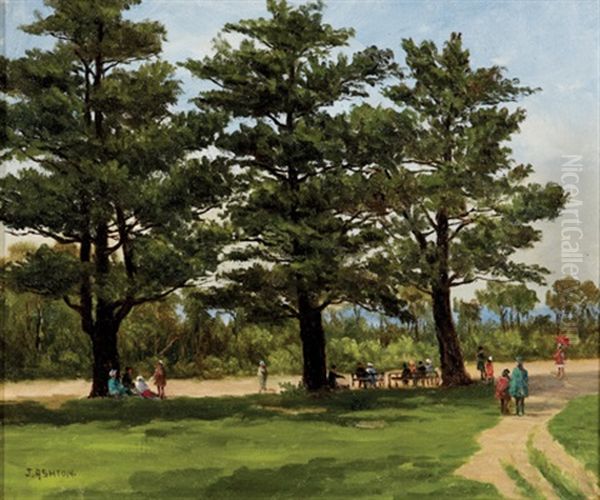 Under The Trees Kings Park Oil Painting by James Ashton