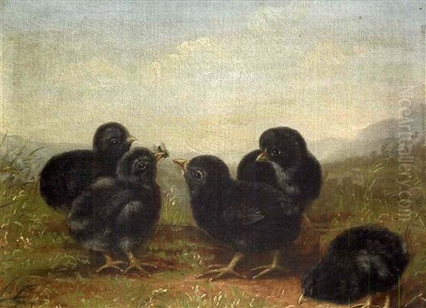 Five Black Chicks Oil Painting by Ben Austrian