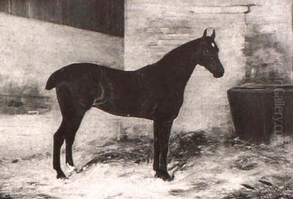 A Dark Bay Horse In A Stable Oil Painting by Wright Barker