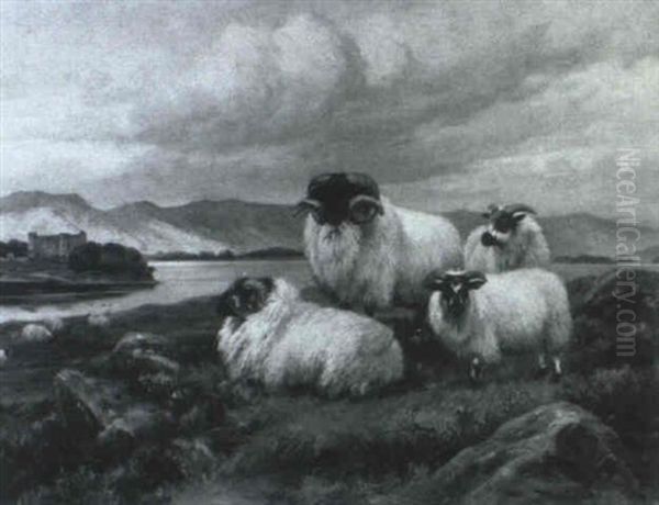 Sheep In A Highland Landscape Oil Painting by Wright Barker