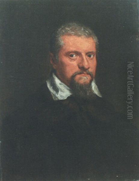 Portrai Of A Bearded Man, Head And Shoulders Wearing A Black Coat Oil Painting by Jacopo dal Ponte Bassano