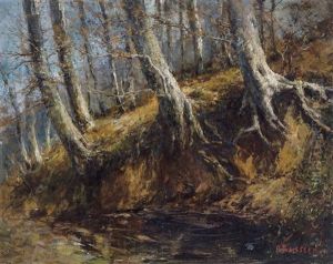 Vue De Foret