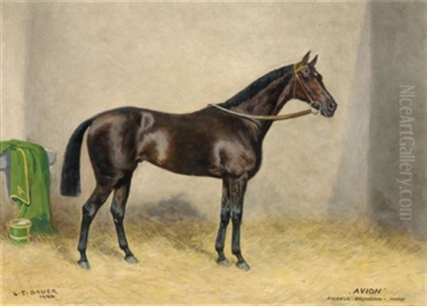 Avion, Angelo Bronzino-anni Oil Painting by Carl Franz Bauer