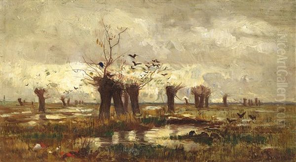 Moorlandschaft Mit Kopfweiden Oil Painting by Paul Baum