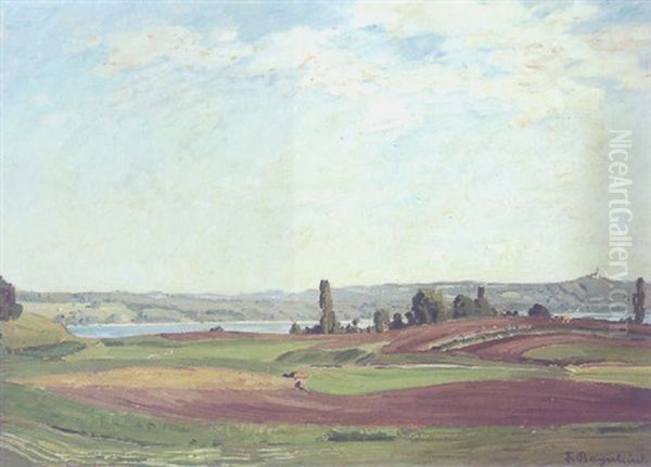 Partie Am Ammersee Oil Painting by Fritz Bayerlein