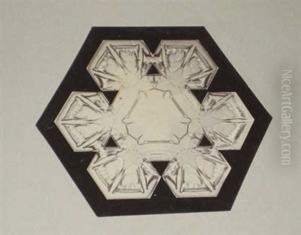 Snow Crystals (+ 2 Others; 3 Works) Oil Painting by Wilson A. Bentley