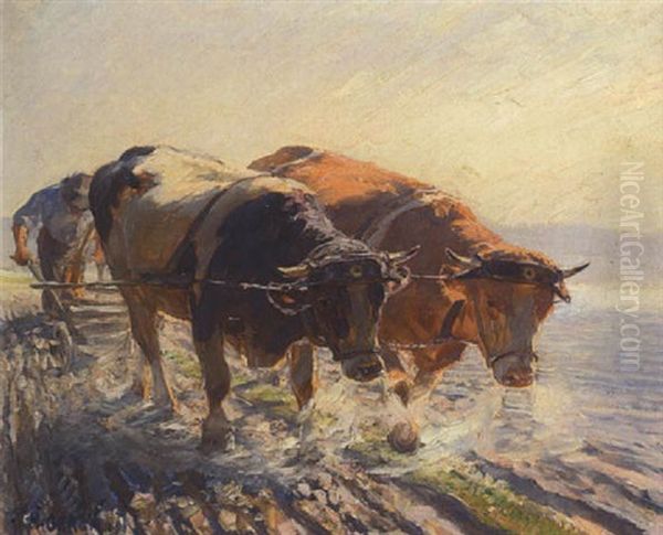 Bauer Mit Ochsengespann Beim Pflugen Oil Painting by Max Bergmann