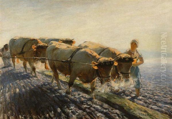 Bauernpaar Mit Ochsengespann Beim Pflugen Oil Painting by Max Bergmann