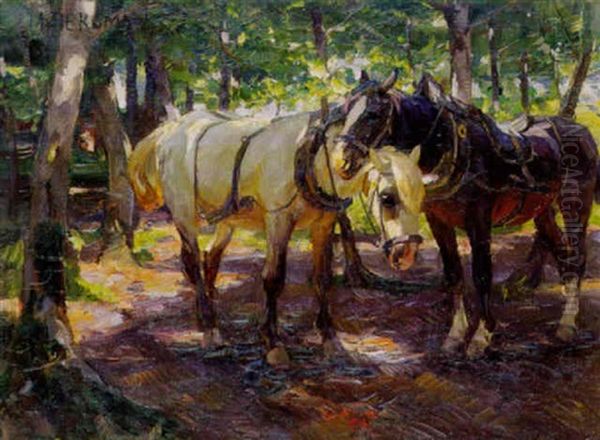 Rastende Pferde Unter Schattigen Baumen Oil Painting by Max Bergmann