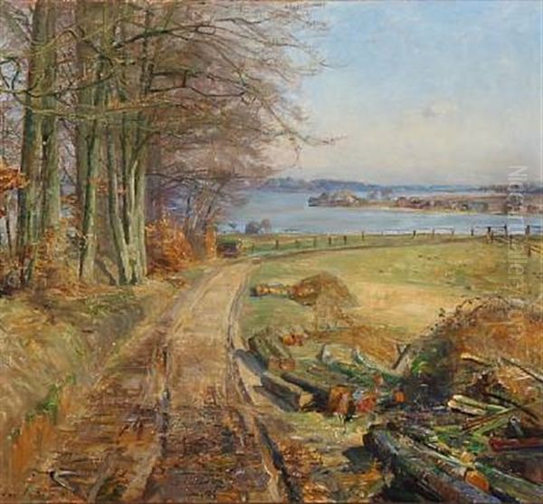 View From Sjaelso In Birkerod, Denmark Oil Painting by Aage Bertelsen
