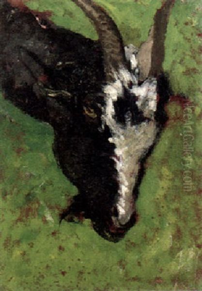 Goat Oil Painting by Mose Bianchi