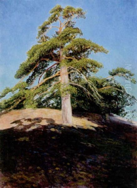 Tal I Morgonsol - Sandhamn Oil Painting by Arthur Bianchini