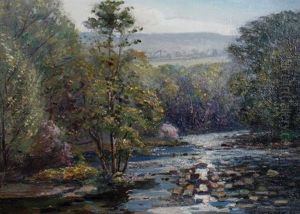Forest Stream