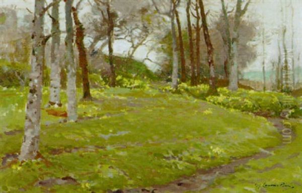 Wooded Glade In Spring Oil Painting by Samuel John Lamorna Birch