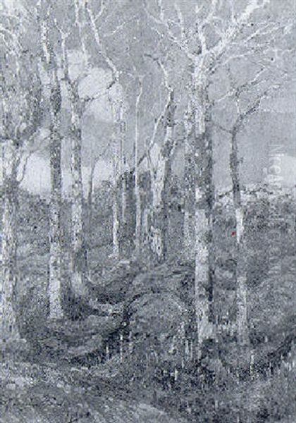 Trees In The Sun Oil Painting by Samuel John Lamorna Birch