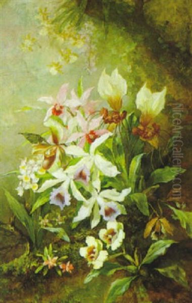Orchideenstilleben Oil Painting by Franz Xaver Birkinger