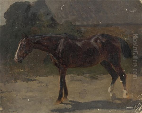 Brauner In Landschaft Oil Painting by Julius von Blaas