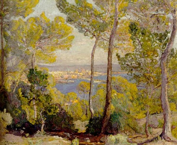Paisaje De Palma Oil Painting by Pedro Blanes Viale