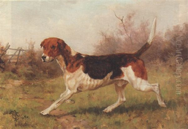 A Foxhound Oil Painting by Thomas Blinks