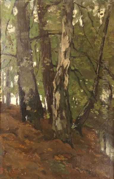 Forestview With A Stream Oil Painting by Theophile Emile Achille De Bock