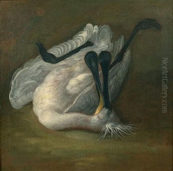 Spatule Blanche Oil Painting by Pieter Boel