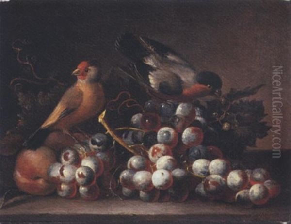 Grapes On The Vine And Peaches With Two Finches On A Ledge Oil Painting by Jakob Bogdani