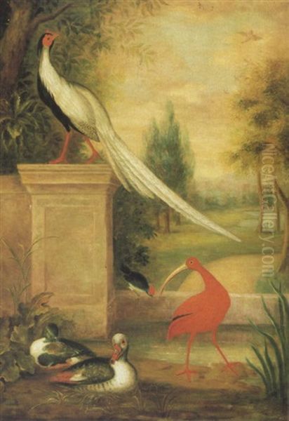 An Assembly Of Birds In A Landscape Including A Silver  Pheasant, Ducks And An Ibis Oil Painting by Jakob Bogdani