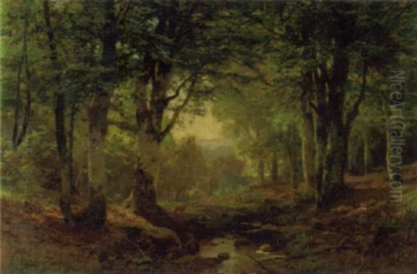 Reh An Einem Waldbach Oil Painting by Heinrich Boehmer
