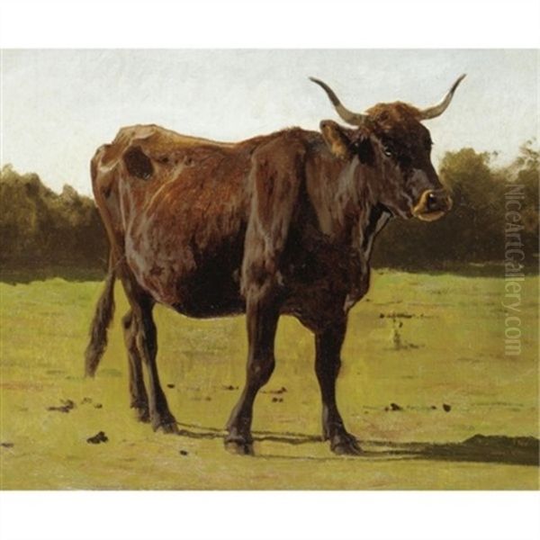 A Cow Grazing In A Meadow Oil Painting by Auguste (Francois Auguste) Bonheur