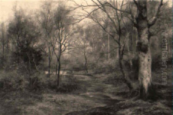 A March Morning In The Woods Oil Painting by Walter Boodle