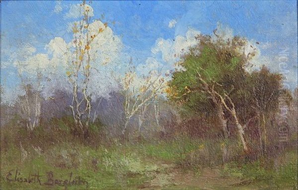 Passing Clouds Oil Painting by Elizabeth Borglum