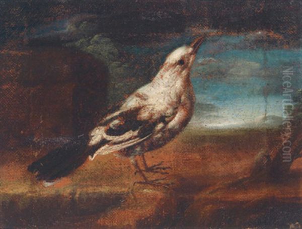 Due Uccelli (2 Pendants) Oil Painting by Felice Boselli