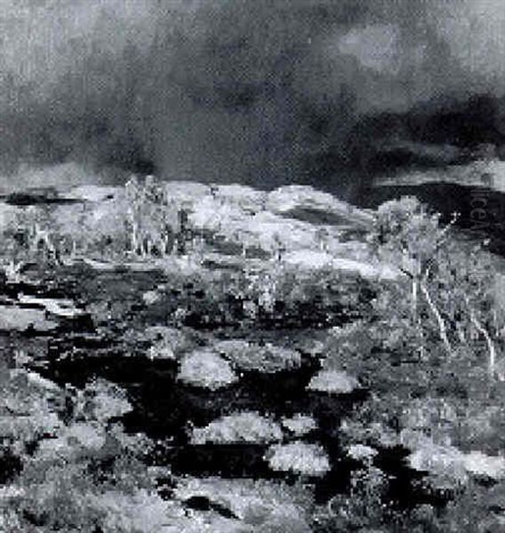 Regenschauer In Norwegischem Hochmoor Oil Painting by Eugen Felix Prosper Bracht