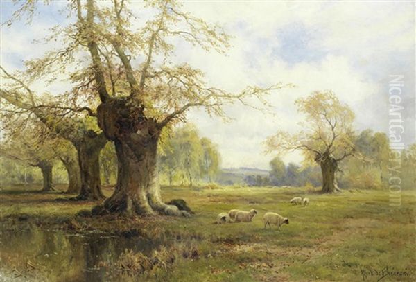 A Sunny Morning, Burnham Beeches Oil Painting by Alfred Fontville de Breanski Jr