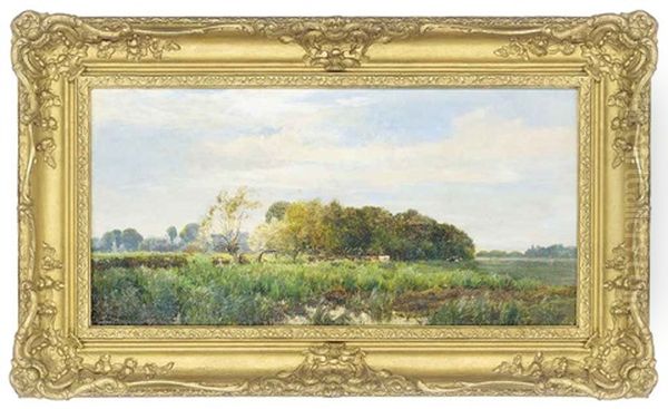 Cattle In A Marshy Field Oil Painting by Alfred Fontville de Breanski Jr