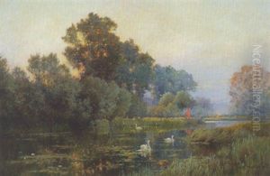 Altwasser Mit Schwanen Im Abendlicht