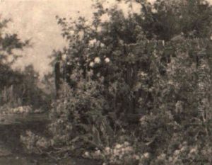 Sommerblumen