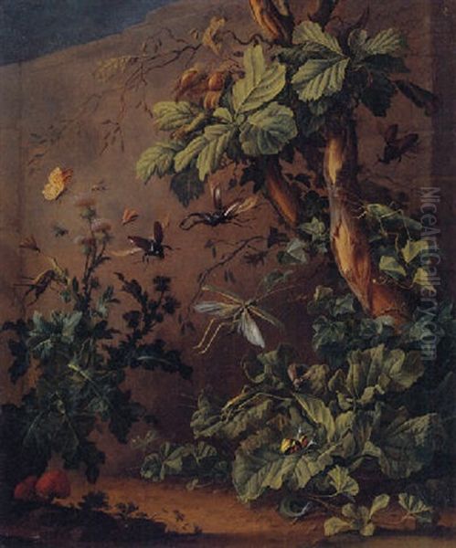 A Forest Still Life With Beetles, Grashoppers, Snails, A Butterfly, A Lizard And Other Insects Oil Painting by Elias van den Broeck